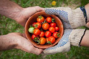 Volunteer to Community Food Services